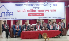 कुहिएर खेर गएको काठबारे सरकारले चासो नदिएको व्यवसायीको गुनासो