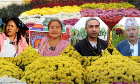 पुष्प मेलामा पनि आर्थिक मन्दीको प्रभाव, बिकेनन् फूल, व्यवसायी निराश