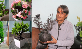 फोहोरलाई मोहरमा बदल्ने कला भएपनि पुँजी अभावले खुम्चिएको सिटौलाको सिप