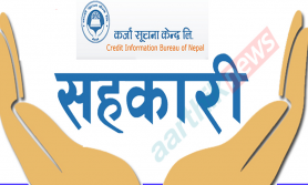चालिस दिनमा २८ सहकारीसहित साढे चार हजार कम्पनी कालोसूचीमा