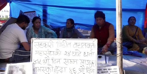 अभिनेत्री बसुन्धरा भुसाल र चैत्यदेवी पनि सहकारी पीडित