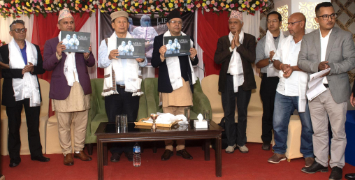 फोटो पत्रकार केशवराज थोकरको लाइफ इन पेन्डामिक सार्वजनिक