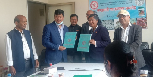 च्याउ खेती प्रविधिको विकास गर्न नास्ट र मसरुम सीडबीच सम्झौता