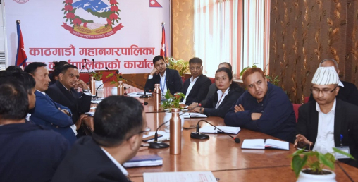 खरिद गुरु योजना र वार्षिक खरिद योजनाका लागि प्रस्तावित प्याकेजिङबारे छलफल