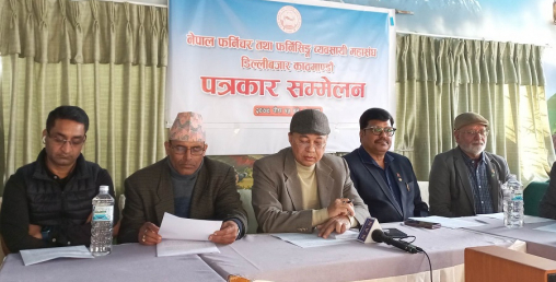 सरकारले नै आफूहरूलाई अवैधानिक रूपमा चल्न बाध्य पारेको फर्निचर व्यवसायीको आरोप