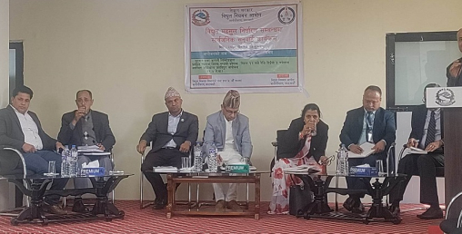 दिल्ली बहादुरको बलमिच्याईले पर्दैछन् उपभोक्ताहरू महँगो विद्युतको मारमा