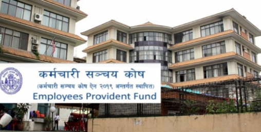 अब सञ्चय कोषको कारोबारको तत्काल जानकारी पाइने