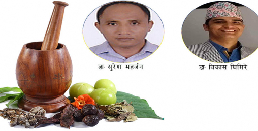 आयुर्वेदिक चिकित्सकको गुनासो-'कोरोना निको पार्यौं भन्नेले भ्रम छरे'
