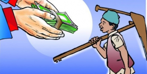 कृषि अनुदानमा व्यापक दुरुपयोग, अब ब्याजमा अनुदान दिने