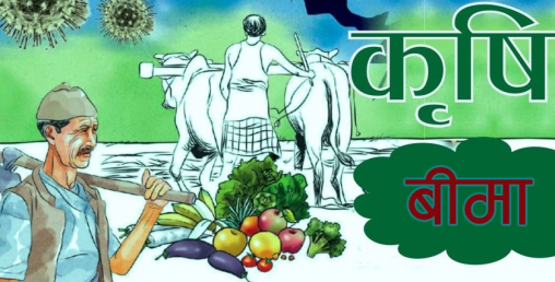कृषि तथा पशुपन्छी बीमाबाट एक अर्ब ८१ करोड बीमाशुल्क संकलन