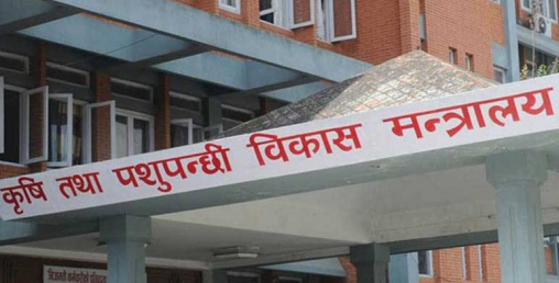 कोरोना सर्ने हल्लामा कृषि उपजको बिक्री र ढुवानी नरोक्न निर्देशन