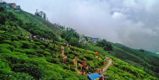 चियामा एकपछि अर्को उपलब्धि