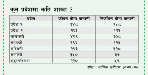 बीमा कम्पनीहरु पनि शहर केन्द्रीत मात्रै व्यवसाय गर्दै