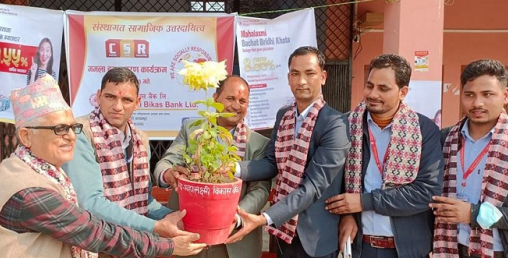महालक्ष्मी विकास बैंकद्वारा महाकाली क्याम्पसलाई गमला वितरण