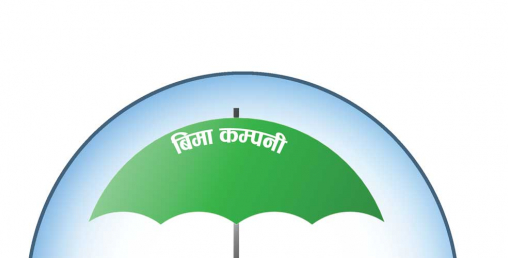 १० नयाँ जीवन बीमा कम्पनीको नाफा साढे ९४ करोडभन्दा बढी, कसले कति कमाए ?