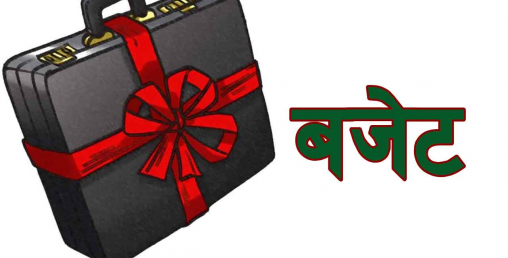 नीति र बजेट, प्रवृत्ति र प्रगति