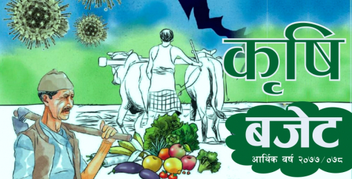 १ करोड ६ लाख ९० हजार मेट्रिक टन खाद्यान्न उत्पादन गर्ने सरकारी लक्ष्य