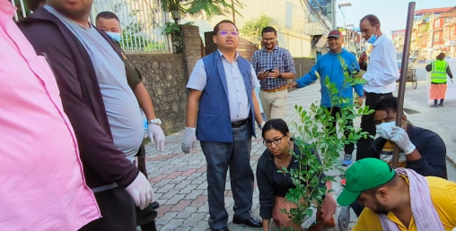 भरतपुरमा हरियाली प्रवर्द्धनका लागि पाँच करोड बजेट