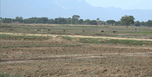 झरी पर्न थालेपछि किसान खुसी