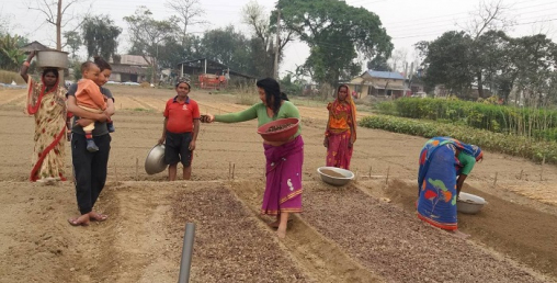 मेटलाइफ फाउन्डेसनद्वारा चितवन राष्ट्रिय निकुञ्जलाई सहयोग