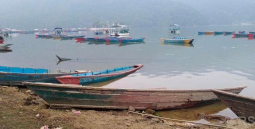 फेवाताल किनारका पुराना डुङ्गा व्यवस्थापन गर्न थालियो