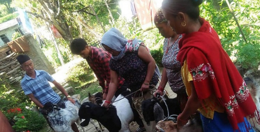 सहकारीमार्फत करोडौँ रकम गाउँ भित्र्याउँदै महिला