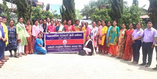सबैको लघुवित्त वित्तीय सस्थाद्वारा व्यवसायिक तरकारी खेतीको तालिम