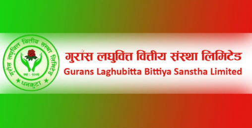 पुस ३० गते साधारण सभा गर्दै गुराँस लघुवित्त, लाभांश कति छ ?