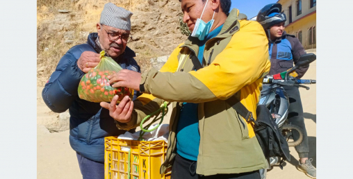 गुरुङ दम्पतीको वार्षिक कमाइ, कृषि कर्मबाटै २० लाख