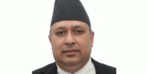 प्रस्तावित प्रधानन्यायाधीश कार्कीविरुद्ध उजुरीको चाङ, १० दिनमा परे २९ उजुरी