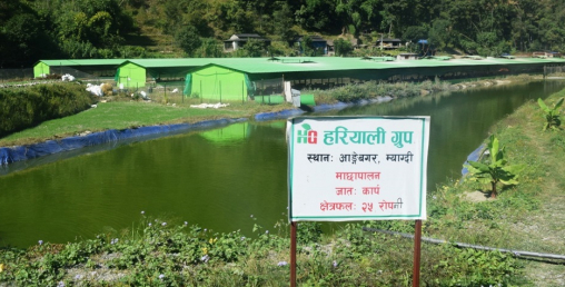 हरियाली ग्रुपः दक्षिण अफ्रिकाको टिम्बाली र भारतको अमूल मोडेल