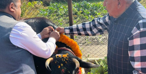 राष्ट्रपति पौडेलद्वारा गाई पूजा