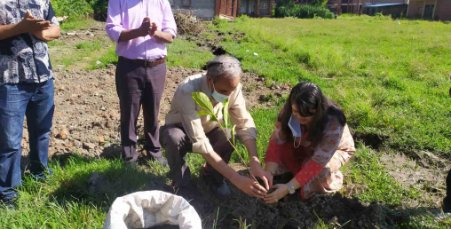 ग्लोबल आइएमई बैंक र त्रिभुवन विश्वविद्यालयको सहकार्यमा वृक्षारोपण