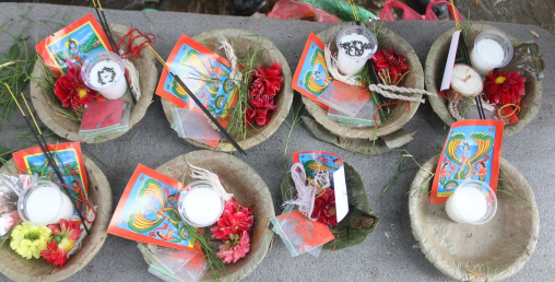 यसरी मनाइयो नागपञ्चमी (फोटो फिचर)