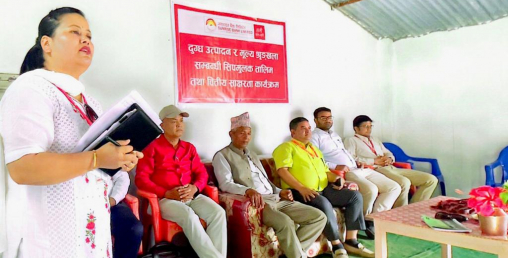 सनराइज बैंकद्वारा वीरेन्द्रनगरमा ५ दिने दुग्ध उत्पादन सिपमुलक तालिम संचालन