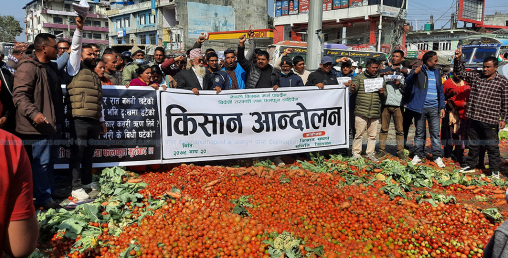 कृषि पेसामा उत्कृष्ट काम गर्ने किसान पुरस्कृत