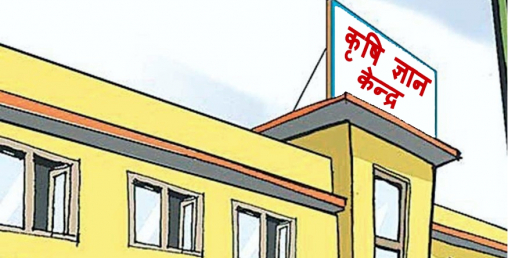 दुई लाख ५० हजारदेखि तीन लाखसम्म सहयोग दिन ३९ फर्म छनोट