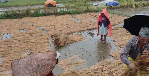 बाढीले जनजीवन अस्तव्यस्त, विपन्न बस्तीमा गाँसकै समस्या