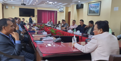 चाडपर्वमा विद्युत् प्रवाह नरोक्न ऊर्जामन्त्रीको निर्देशन