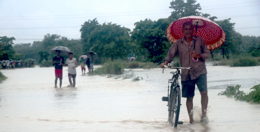 कोशीमा पानीको सतह बढ्याे, निकास नहुँदा दक्षिणी भेग डुबानमा