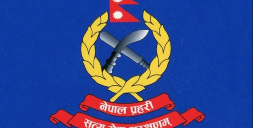 सुरक्षित उपत्यका बनाउने अभियानमा प्रहरी