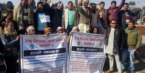 ओझेलमा उखु किसानको आन्दोलन