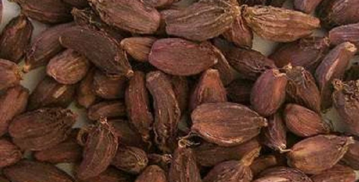 ताप्लेजुङका किसानले घर भित्र्याउन थाले अलैँची