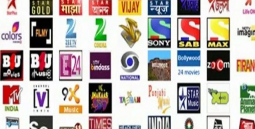 क्लिन फिड कार्यान्वयनमा ल्याउन सरकारलाई निर्देशन