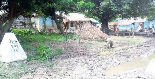 दशगजाका मुसहरको दशा