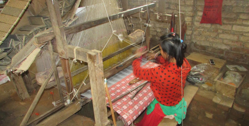 तान बुन्ने सीपले उद्यमी बनायो पुलामीलाई