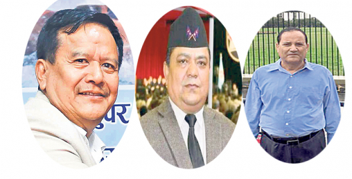 भाटभटेनी सुपर मार्केटका अध्यक्ष र दुई भूमाफियाको सम्पत्ति छानबिन