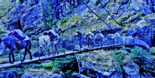 सबेरैदेखि रातिसम्म खट्छन् पहाडी ‘ट्रक’