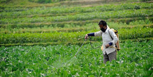किसानका पीडाः पुरस्कार आठानी, खर्च रुपैयाँ !