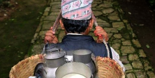 दुग्ध उत्पादनमा प्रदेश १ आत्मनिर्भर